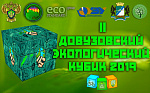II Довузовской экологической кубик